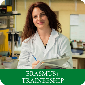 erasmus traineeship