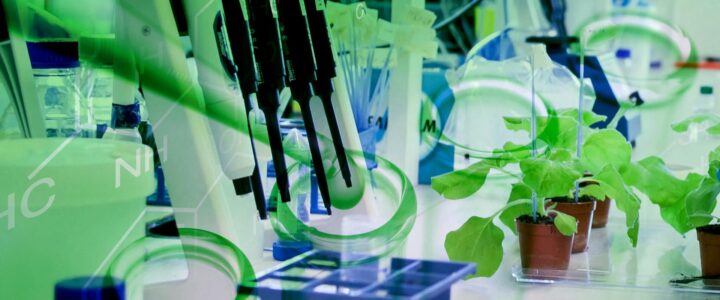 “Plant Micropropagation Course – Announcement”